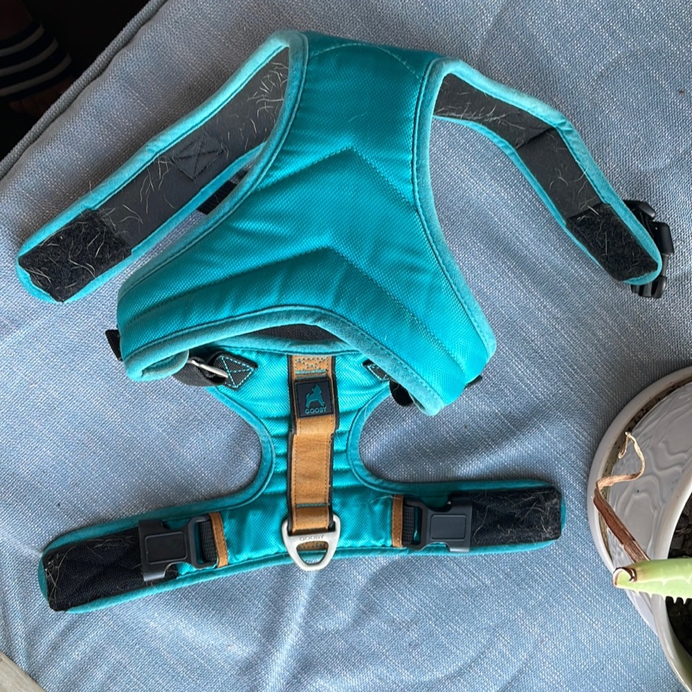 Gooby Pet, XL Turquoise “Pioneer” Harness